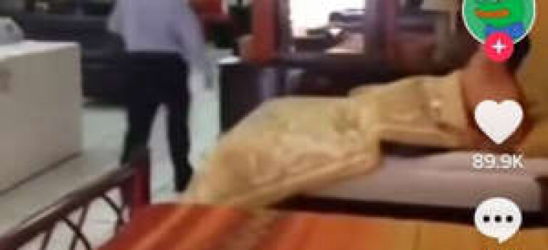 #LoCurioso Joven se queda dormido en cama de tienda departamental y se hace viral en TikTok