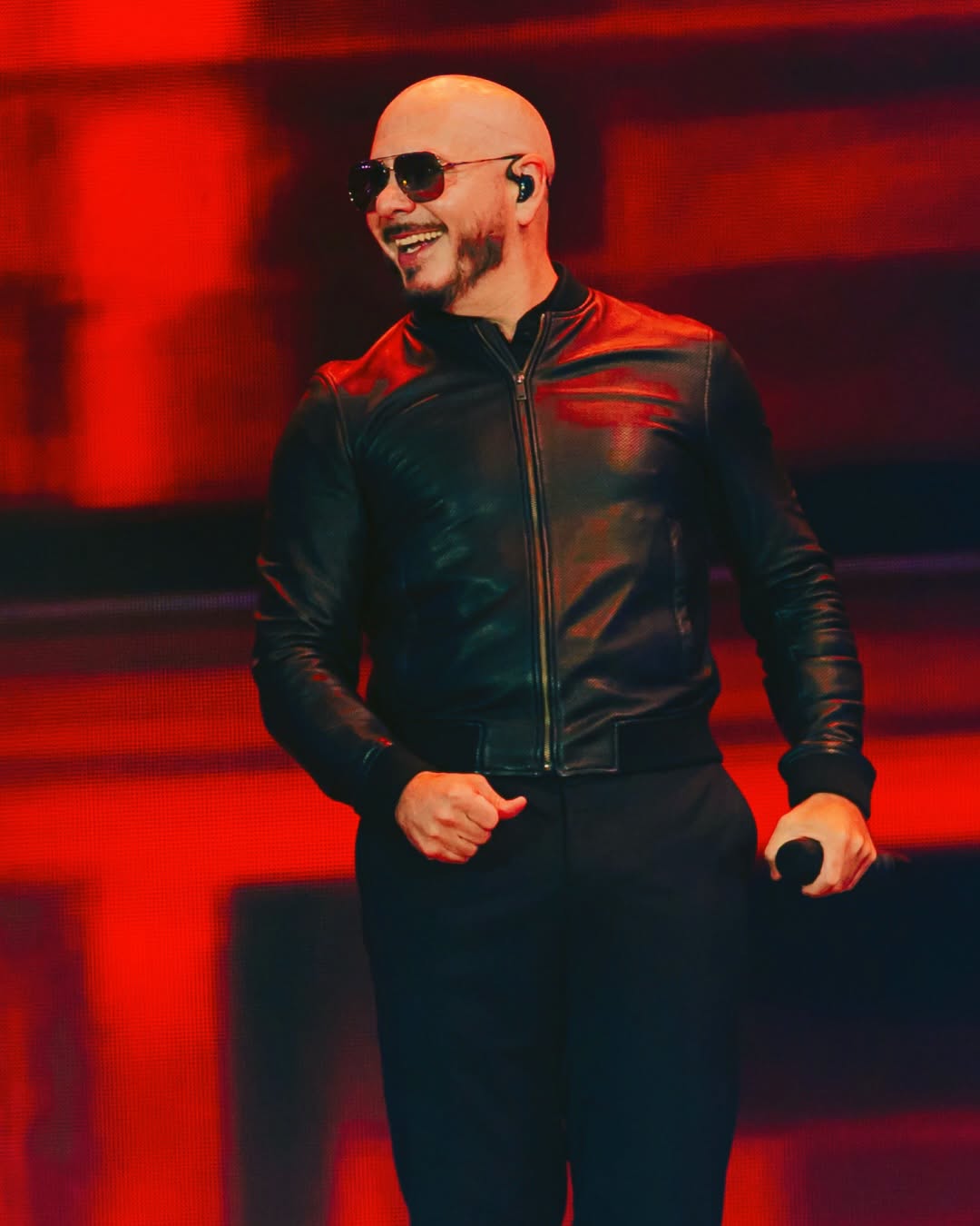 Pitbull 2