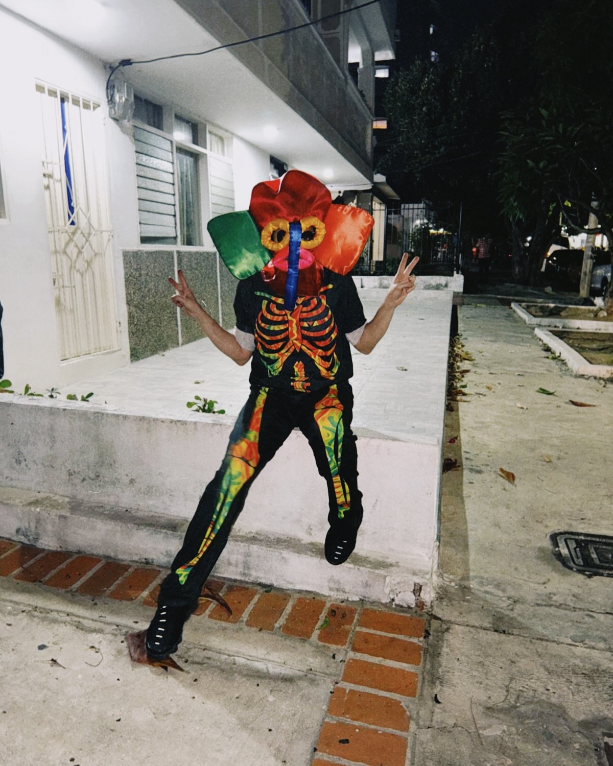 Shakira Barranquilla
